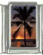 Palm tree - sunset Photo Italian charm